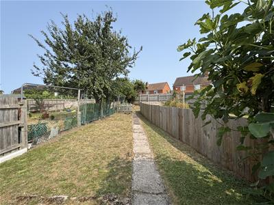 Picture 20
